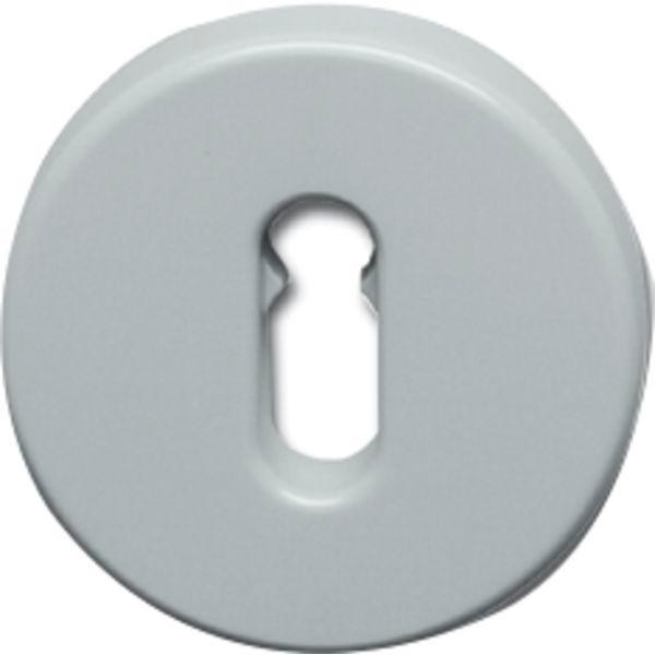 Klíčové rozety ploché HEWI 306.23, středně šedá - Dveře Dveřní kování, dveřní příslušenství Dveřní rozety