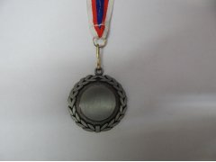 Medaile MD 7 Stříbro