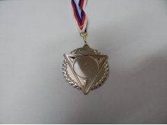 Medaile MD 15 Stříbro