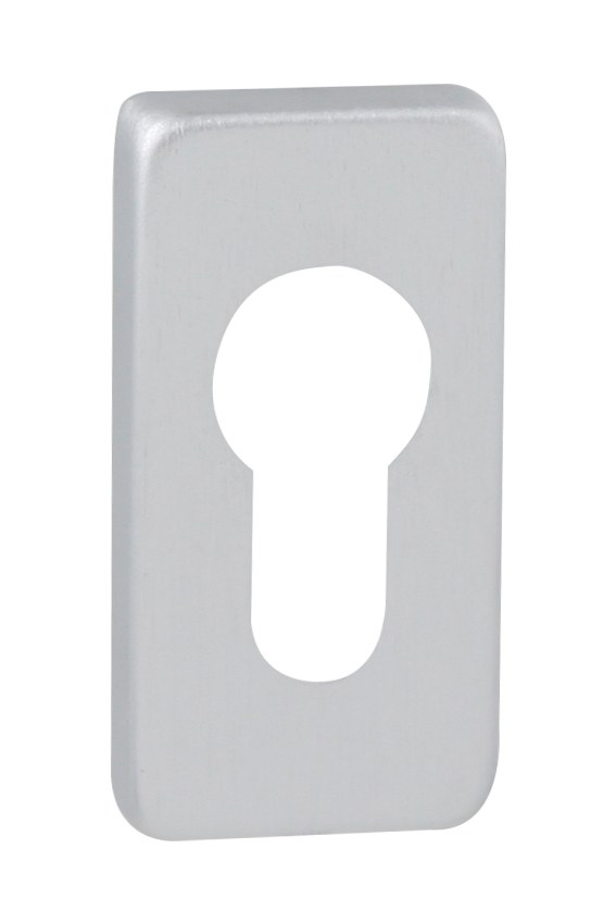 FT - Rozeta 276 - PZ - 60 x 30 mm