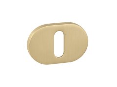 ._bd65f3a85738d87c5ffccfbd526ca398.jpg