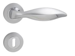 LI - DELFINO - R 70438