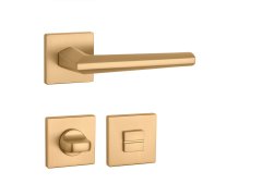 ._5008a19fd67920da85eae6f48c29fc12.jpg