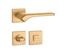 ._8e46fb1e262119f234c1b70c3e8e71f2.jpg