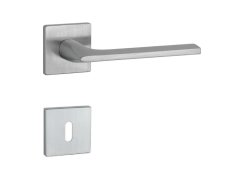 AS - SALVIA - HR 5S 70798
