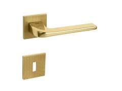 TI - DARA - HR 4007 5SQ T2 71281