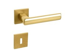TI - POPULAR - HR 4161 5SQ T2 71293