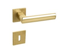 TI - POPULAR - HR 4161 5SQ T1 71309