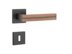 AS - IMPERATA - HR 7S 71549