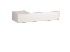 ASG - LUDISIA - RT