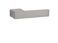ASG - LUDISIA - RT 71568