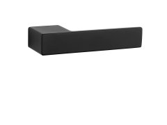 ASG - LUDISIA - RT 71569
