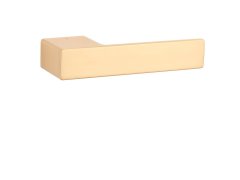 ASG - LUDISIA - RT 71570