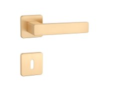 AS - ERICA - QS 7S 71664