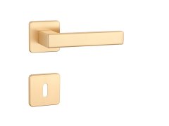 AS - TILIA - QS 7S 71667