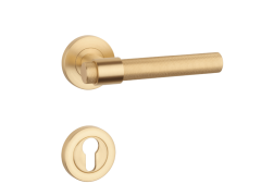 ._52daf35c06874494b358e0ca2a89d0e1.png