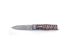 Vyhazovací zavírací nůž PREDATOR - mamutovina 241-DMA-1